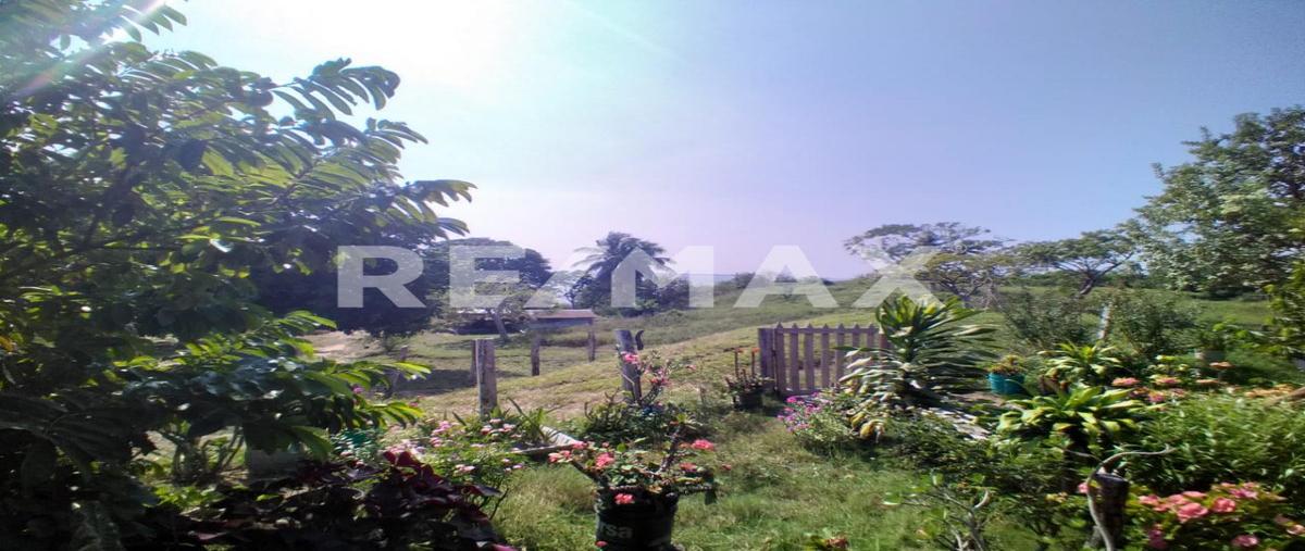 Foto de terreno habitacional en venta en jesus arellano , cabo rojo (novillos) [ganadera], tampico alto, veracruz de ignacio de la llave, 0 No. 04
